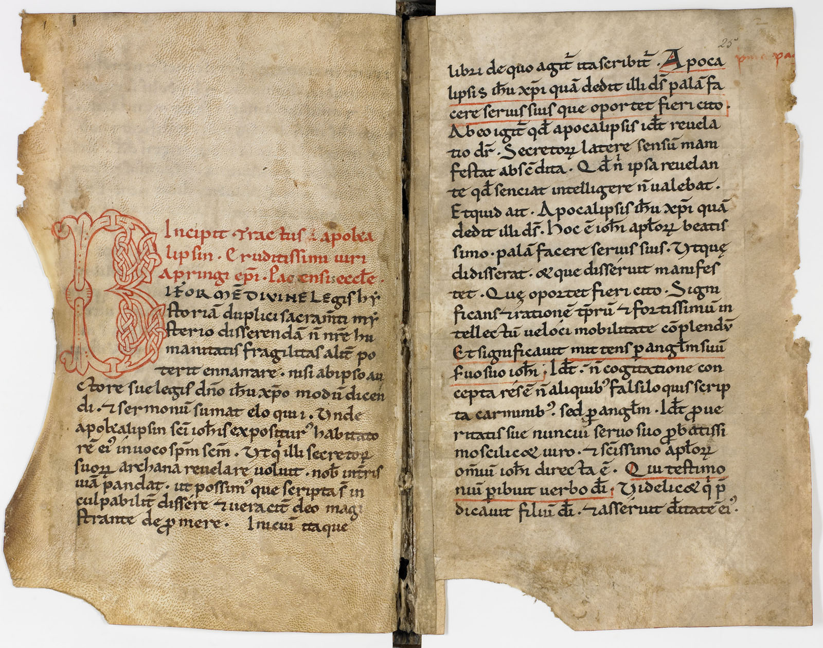 A Spanish manuscript, AM 795 4to